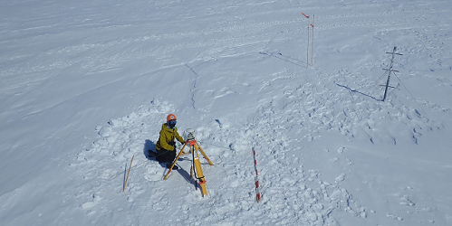 Survey for Monitoring Movement of Ice Sheet