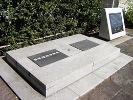 Japanese origin