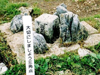Photo of Triangulation point