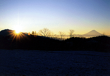 links_image