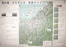 画像：「謎の魚　イシドンコ　生息マップ」 