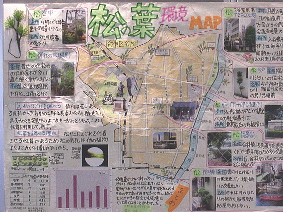 画像：松の葉　環境ＭＡＰ