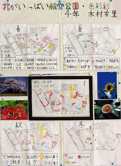 画像：花がいっぱい航空公園・色彩彩