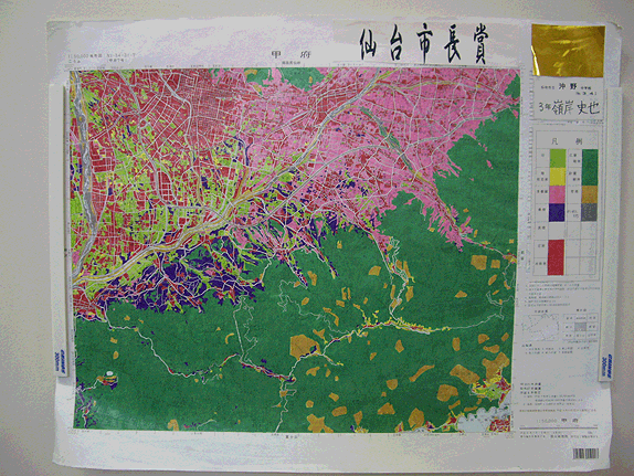 画像：土地利用図：「甲府」