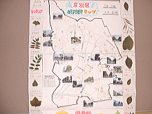 画像：「厚別区街路樹マップ」