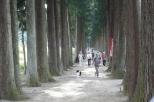 写真：立山寺の参道