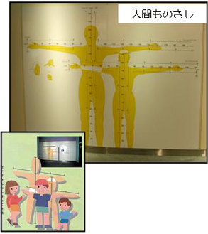 写真：人間ものさし