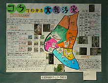 画像：「コケでわかる大気汚染」