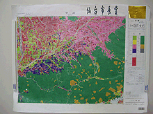 画像：土地利用図：「甲府」