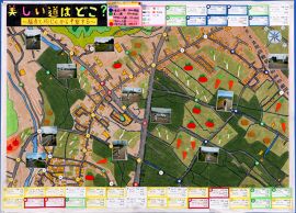 作品：美しい道はどこ？～騒音と粉じんから考察する～