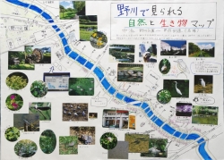 作品：野川で見られる自然と生き物マップ