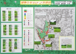 作品：植物分布 ＭＡＰ of 谷津田