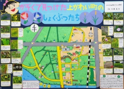 作品：かぞくで見つけた上かわい町のしょくぶつたち