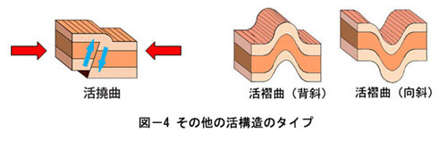 図－４その他の活構造のタイプ