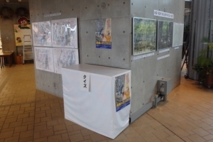 写真：展示の様子2