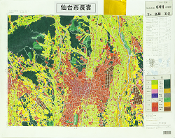 作品：土地利用図（宇都宮）