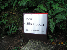 写真:標高1800m地点に到着