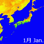 1999's NDVI image
