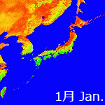 2003's NDVI image