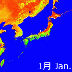 2004's NDVI image