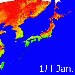 2005's NDVI image
