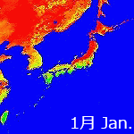 2005's NDVI image