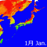 2006's NDVI image