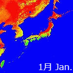 2006's NDVI image