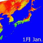 2008's NDVI image