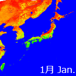 2012年NDVI年間画像