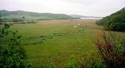 北海道の釧路湿原の様子