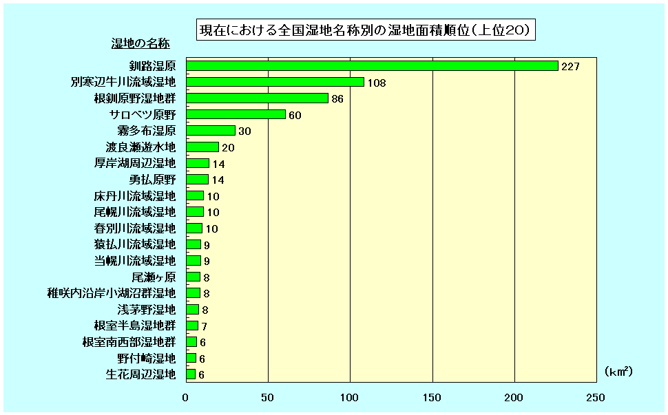 1999(平成11)年の湿地面積に大きい順に20位までを表示したグラフ