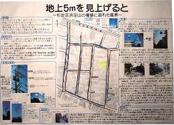 作品：地上５ｍを見上げると～杉並区浜田山の電線に溢れた風景～
