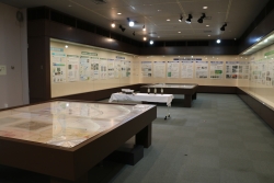 写真：特別展示室全景