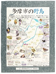 作品：多摩市の野鳥