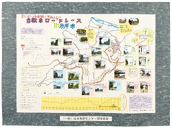 作品：オリンピックを体験してみよう‼自転車ロードレースin多摩市