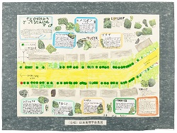 作品：そよかぜのみち　ざっそうたんけんマップ
