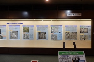 写真:展示パネル1