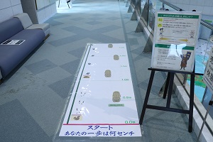 写真:歩測体験サムネイル画像