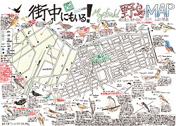 作品：街中にもいる!My field野鳥MAP