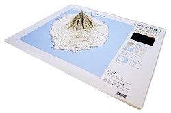 作品：地図模型「利尻島」