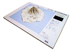 作品：地図模型「利尻島」