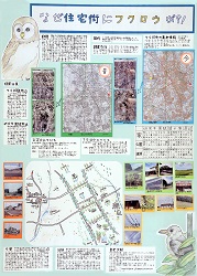 作品：なぜ住宅地にフクロウが？！