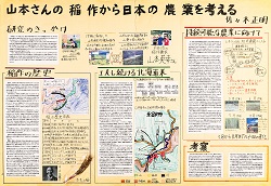 作品名：おいしいお米 たくさんのお米を作るひみつ