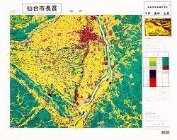 作品名：土地利用図｢水沢｣