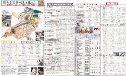 作品：流れる生命の謎を追え!! ～環境DNAと採集による多摩市の川の魚類調査～