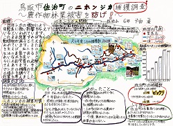 作品名：鳥取市佐治町のニホンジカ捕獲調査 ～農作物林業被害を防げ!～