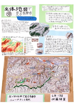 作品名：立体地図で見る多摩市 ～ニュータウンと自然～